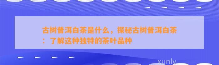 古树普洱白茶是什么，探秘古树普洱白茶：熟悉这类特别的茶叶品种