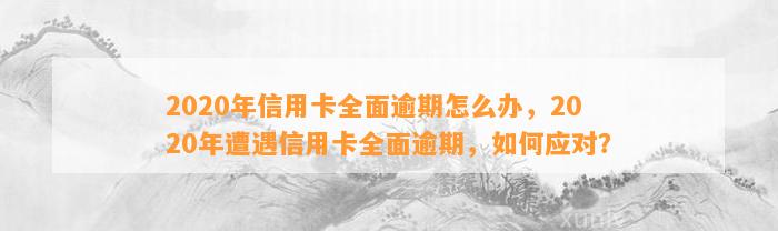 2020年信用卡全面逾期怎么办，2020年遭遇信用卡全面逾期，如何应对？