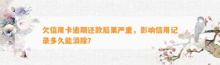 欠信用卡逾期还款后果严重，影响信用记录多久能消除？