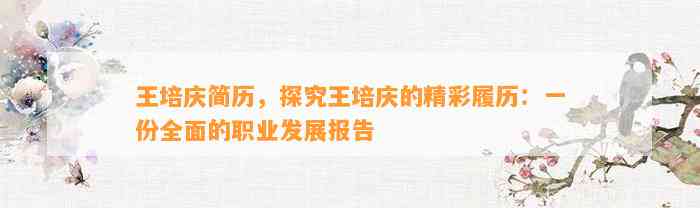 王培庆简历，探究王培庆的精彩履历：一份全面的职业发展报告