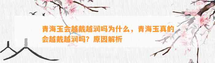 青海玉会越戴越润吗为什么，青海玉真的会越戴越润吗？起因解析