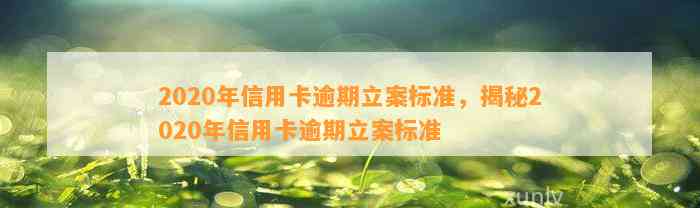 2020年信用卡逾期立案标准，揭秘2020年信用卡逾期立案标准