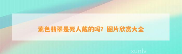 紫色翡翠是死人戴的吗？图片欣赏大全