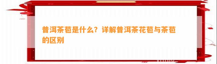 普洱茶苞是什么？详解普洱茶花苞与茶苞的区别