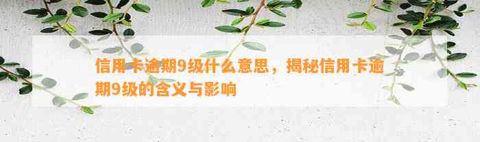 信用卡逾期9级什么意思，揭秘信用卡逾期9级的含义与影响