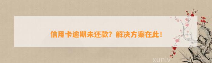 信用卡逾期未还款？解决方案在此！