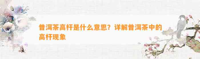 普洱茶高杆是什么意思？详解普洱茶中的高杆现象