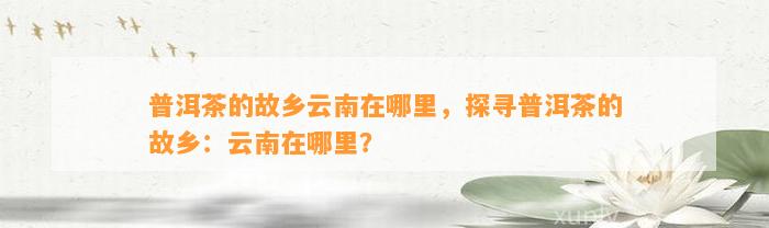 普洱茶的故乡云南在哪里，探寻普洱茶的故乡：云南在哪里？