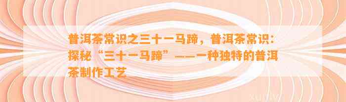 普洱茶常识之三十一马蹄，普洱茶常识：探秘“三十一马蹄”——一种特别的普洱茶制作工艺