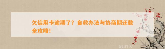 欠信用卡逾期了？自救办法与协商期还款全攻略！