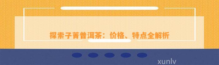 探索子菁普洱茶：价格、特点全解析