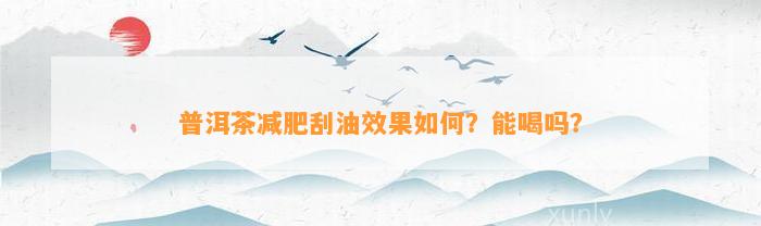 普洱茶减肥刮油效果怎样？能喝吗？