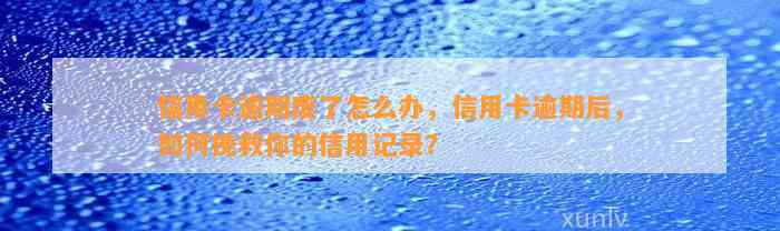 信用卡逾期废了怎么办，信用卡逾期后，如何挽救你的信用记录？