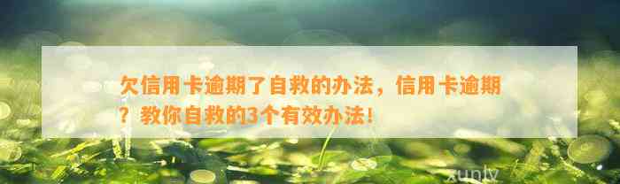 欠信用卡逾期了自救的办法，信用卡逾期？教你自救的3个有效办法！