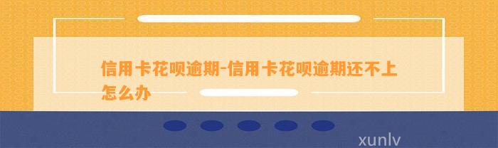 信用卡花呗逾期-信用卡花呗逾期还不上怎么办