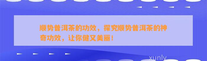 顺势普洱茶的功效，探究顺势普洱茶的神奇功效，让你健又美丽！