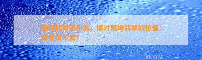 阳绿翡翠贵不贵，探讨阳绿翡翠的价值：究竟贵不贵？