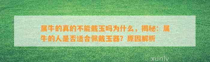 属牛的真的不能戴玉吗为什么，揭秘：属牛的人是不是适合佩戴玉器？起因解析