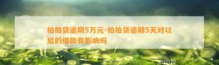 拍拍贷逾期5万元-拍拍贷逾期5天对以后的借款有影响吗