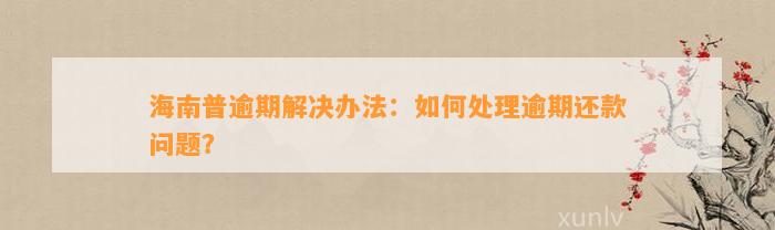 海南普逾期解决办法：如何处理逾期还款问题？