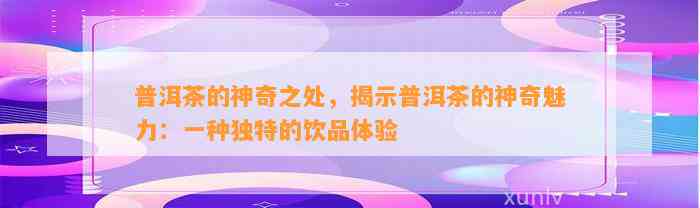 普洱茶的神奇之处，揭示普洱茶的神奇魅力：一种特别的饮品体验