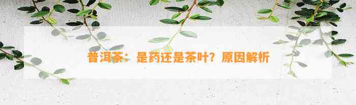 普洱茶：是药还是茶叶？起因解析