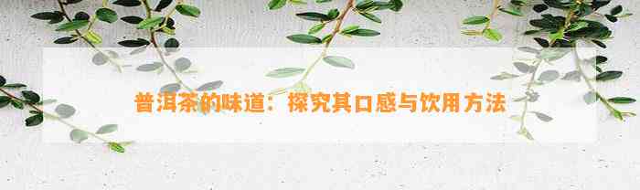 普洱茶的味道：探究其口感与饮用方法