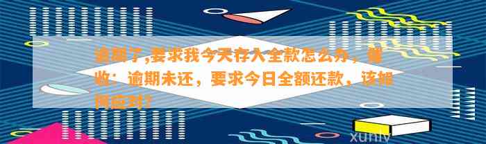 逾期了,要求我今天存入全款怎么办，催收：逾期未还，要求今日全额还款，该如何应对？