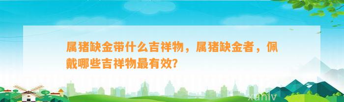 属猪缺金带什么吉祥物，属猪缺金者，佩戴哪些吉祥物最有效？