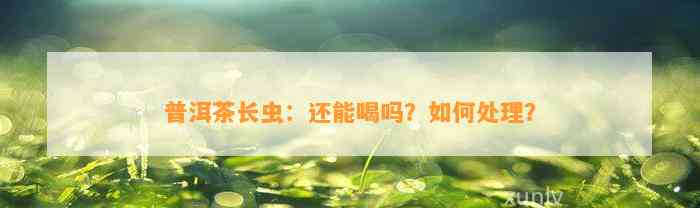 普洱茶长虫：还能喝吗？怎样解决？