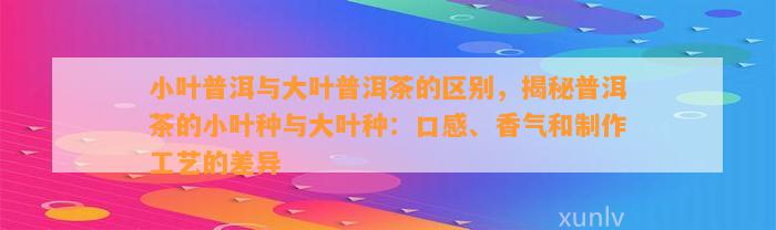 小叶普洱与大叶普洱茶的区别，揭秘普洱茶的小叶种与大叶种：口感、香气和制作工艺的差异