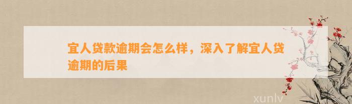 宜人贷款逾期会怎么样，深入了解宜人贷逾期的后果