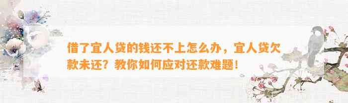 借了宜人贷的钱还不上怎么办，宜人贷欠款未还？教你如何应对还款难题！