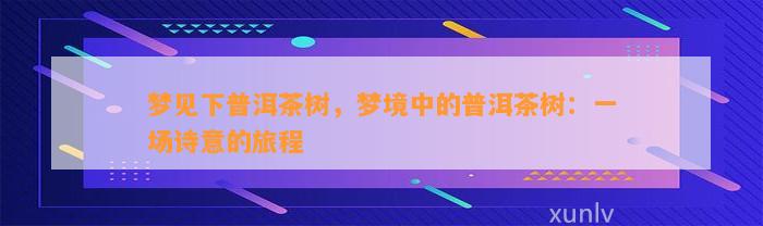 梦见下普洱茶树，梦境中的普洱茶树：一场诗意的旅程