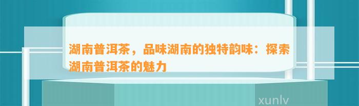 湖南普洱茶，品味湖南的特别韵味：探索湖南普洱茶的魅力