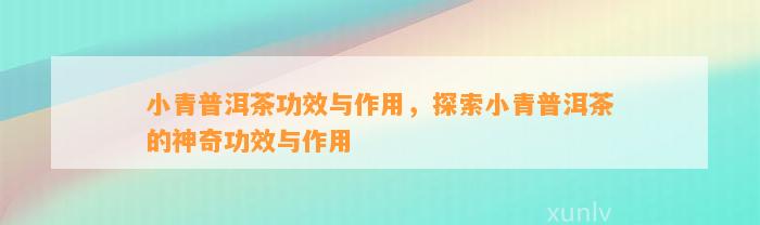 小青普洱茶功效与作用，探索小青普洱茶的神奇功效与作用