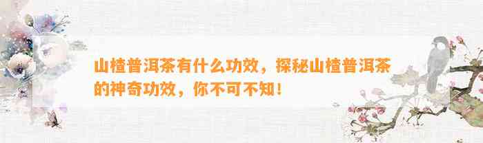 山楂普洱茶有什么功效，探秘山楂普洱茶的神奇功效，你不可不知！