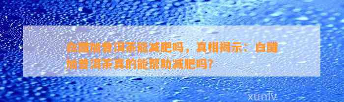 白醋加普洱茶能减肥吗，真相揭示：白醋加普洱茶真的能帮助减肥吗？