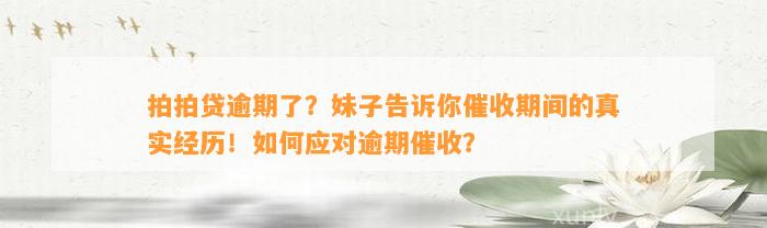 拍拍贷逾期了？妹子告诉你催收期间的真实经历！如何应对逾期催收？