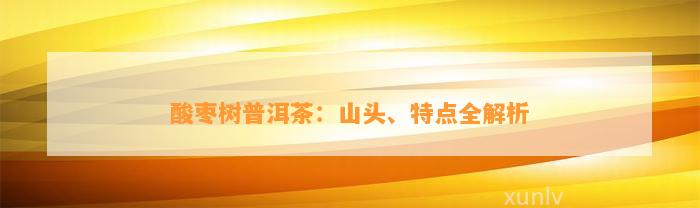 酸枣树普洱茶：山头、特点全解析