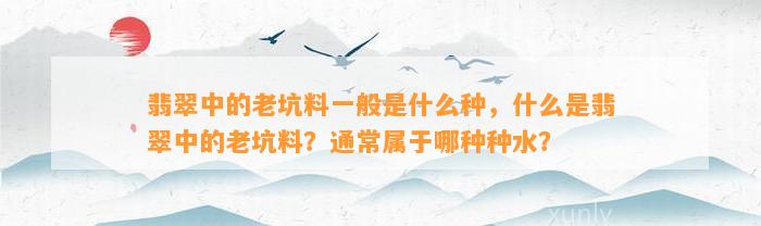 翡翠中的老坑料一般是什么种，什么是翡翠中的老坑料？一般属于哪种种水？