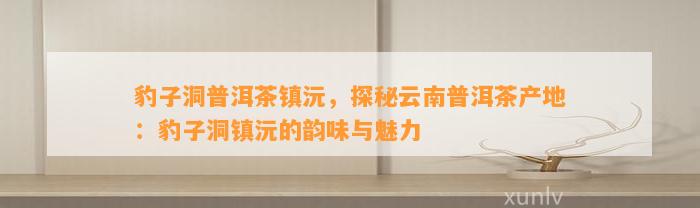 豹子洞普洱茶镇沅，探秘云南普洱茶产地：豹子洞镇沅的韵味与魅力