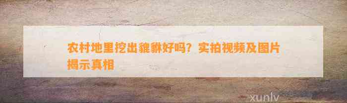 农村地里挖出貔貅好吗？实拍视频及图片揭示真相