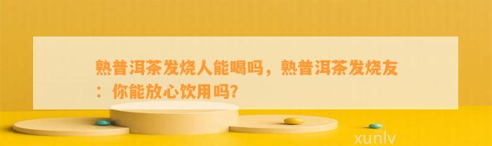 熟普洱茶发烧人能喝吗，熟普洱茶发烧友：你能放心饮用吗？