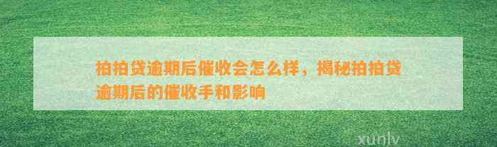 拍拍贷逾期后催收会怎么样，揭秘拍拍贷逾期后的催收手和影响