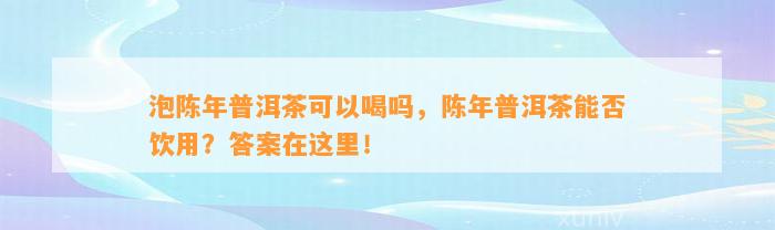 泡陈年普洱茶可以喝吗，陈年普洱茶能否饮用？答案在这里！