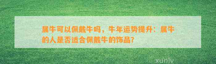 属牛可以佩戴牛吗，牛年运势提升：属牛的人是不是适合佩戴牛的饰品？