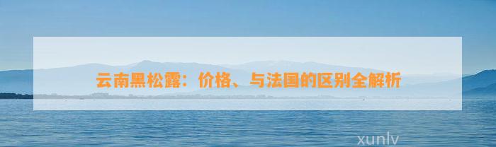 云南黑松露：价格、与法国的区别全解析