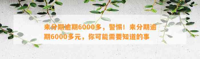 来分期逾期6000多，警惕！来分期逾期6000多元，你可能需要知道的事