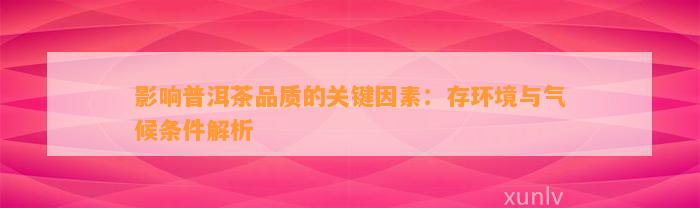 作用普洱茶品质的关键因素：存环境与气候条件解析